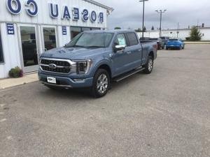 2023年福特F-150白金